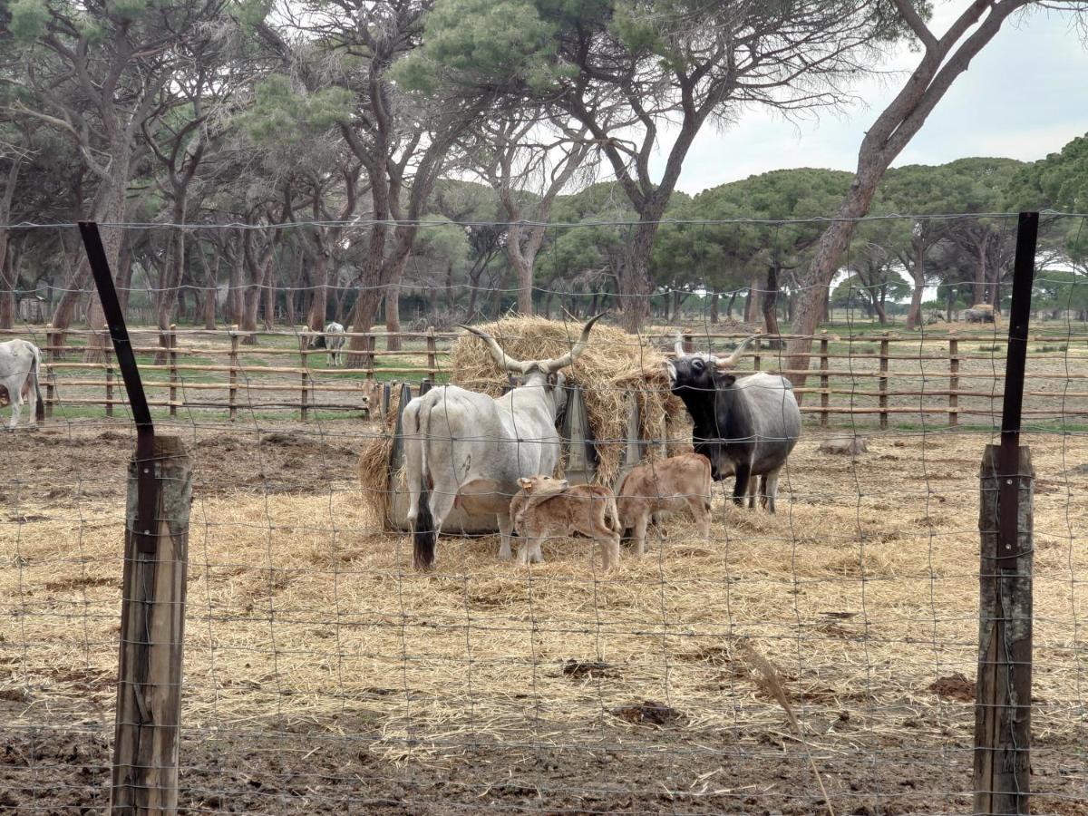 Agriturismo Poderedodici 奥尔贝泰洛 外观 照片