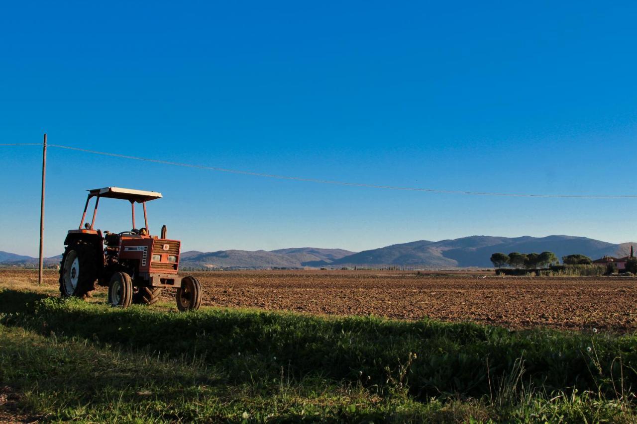 Agriturismo Poderedodici 奥尔贝泰洛 外观 照片