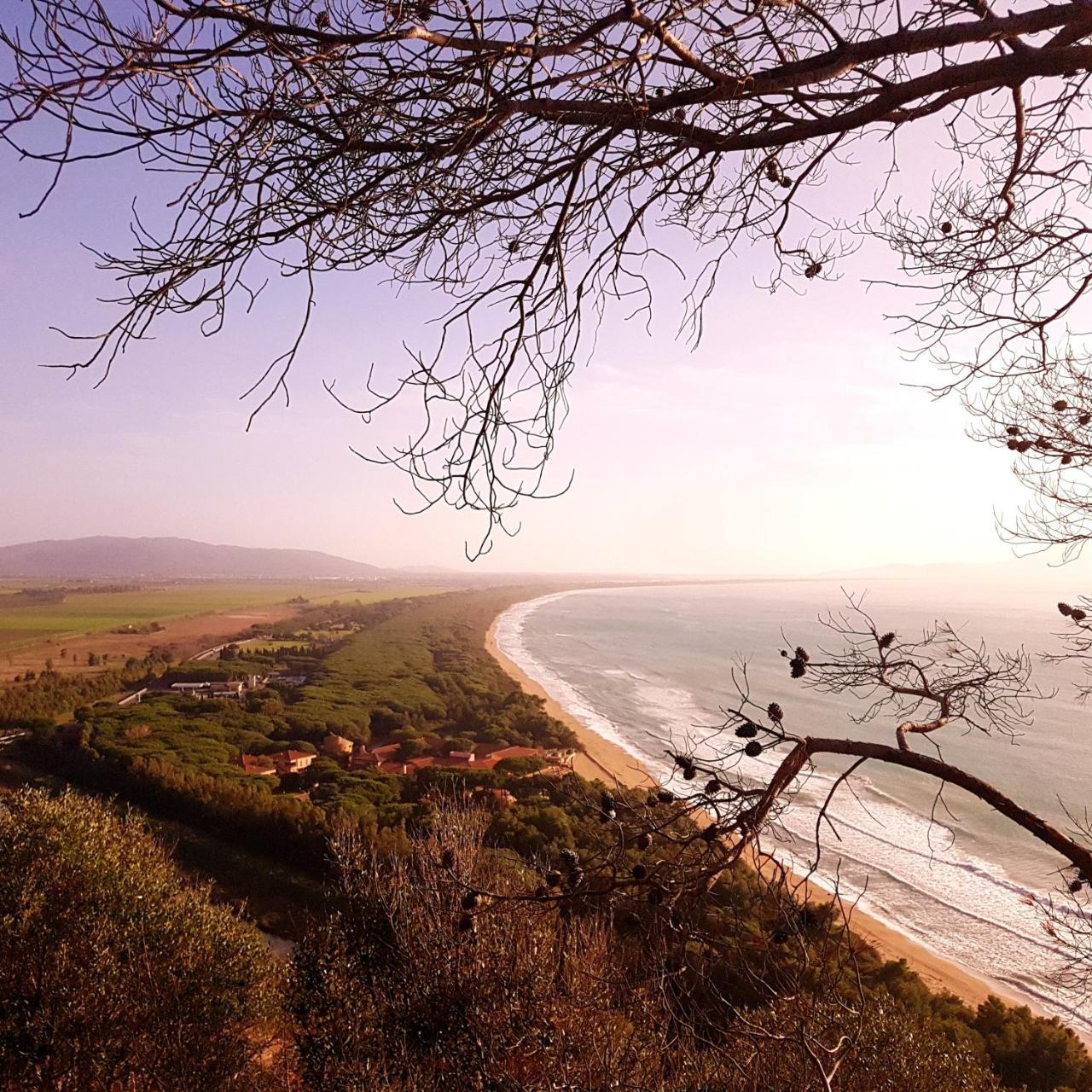 Agriturismo Poderedodici 奥尔贝泰洛 外观 照片