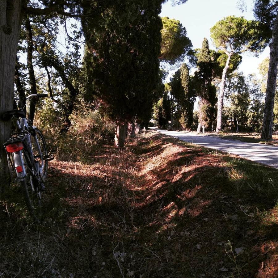 Agriturismo Poderedodici 奥尔贝泰洛 外观 照片